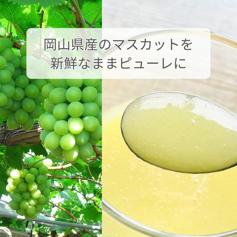 岡山県産のマスカットを新鮮なままピューレに